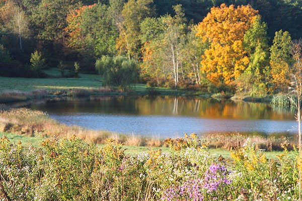 Fishing New York State!