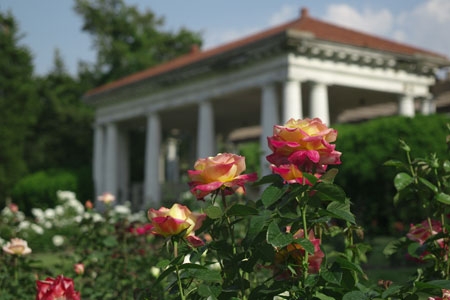 Experience the Ever Changing Tapestry at Sonnenberg Gardens