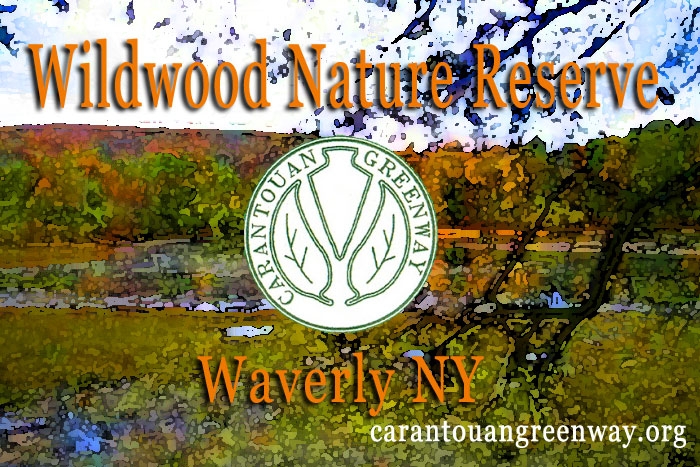 Wildwood Nature Reserve